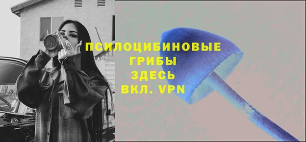 spice Верхний Тагил