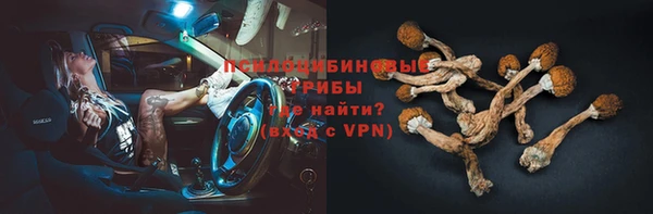 тгк Верея